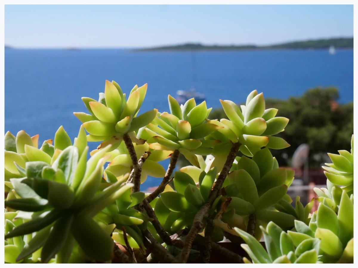 The Peninsula Διαμέρισμα Primošten Εξωτερικό φωτογραφία